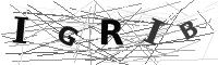Please refresh your browser to see this image.